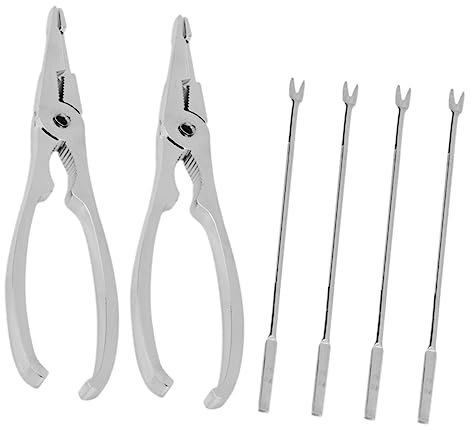 COLLBATH Juego De 6 Herramientas para Mariscos Tenedores De Acero Inoxidable Kit De Cascanueces Herramientas para Abrir Cangrejos Fácil De Usar Adecuado para Mariscos y Nueces Incluye 3 Piezas
