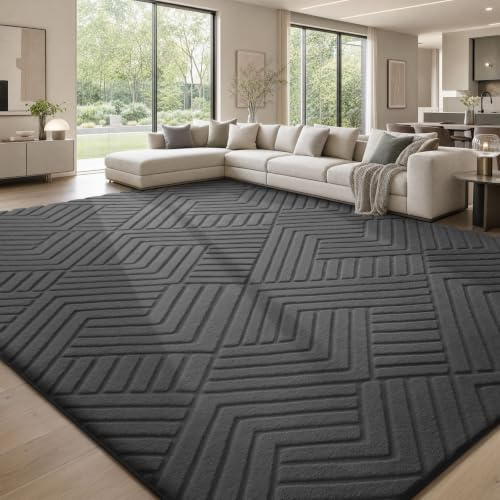 Sour Lemon Rugs for Living Room, 160x230cm Extra Large Fluffy Geometric Rug | Non Slip Washable Bedside Rugs, 3D High-low Effect, Modern Short Pile Floor Carpet for Bedroom Office, Lines Dark Grey
