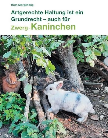 Artgerechte Haltung ist ein Grundrecht - auch für (Zwerg-) Kaninchen
