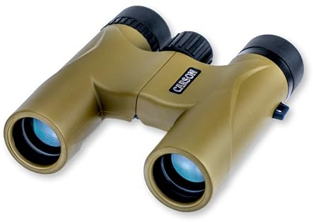 Carson Stinger 10x25mm Kompaktfernglas mit BK-7 Prismen (HW-025)
