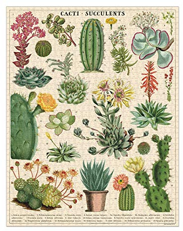 Cavallini Papers & Co. PZL/SUC Cacti & Succulents 1,000 Piece Puzzle, Multi, 1000