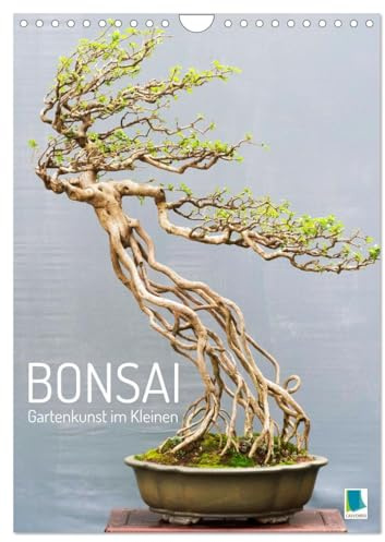 Bonsai: Gartenkunst im Kleinen (Wandkalender 2026 DIN A4 hoch), CALVENDO Monatskalender: Japanische und chinesische Gartenkunst Bonsai Bäumchen (CALVENDO Hobbys)