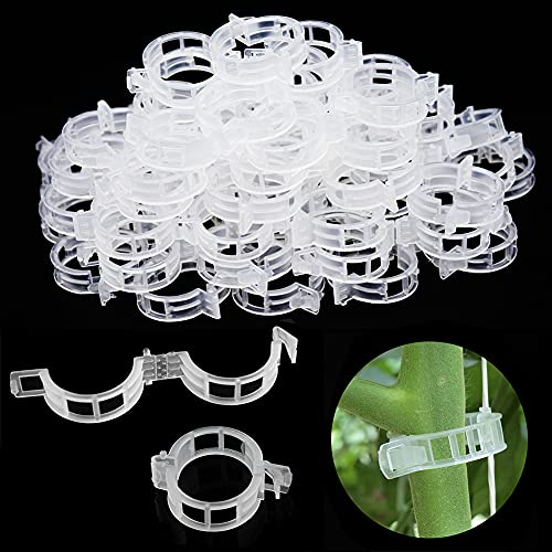 ZDZBLO 200 Pcs Plant Clips Plant Supports for Garden Trellis for Climbing Plants, Tomato Support, Plant Clips for Climbing Plants Support Clips Garden Plants Supports, Tomato Support Tomato Clip