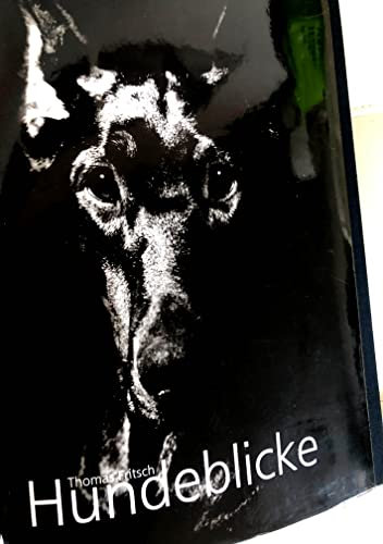 Hundeblicke