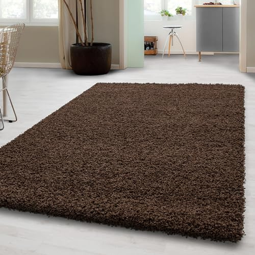 Carpetsale24 Shaggy Hochflor Teppich 300x400 cm Braun weich flauschig modern einfarbig Für sehr große Räume für Wohnzimmer Schlafzimmer Flur