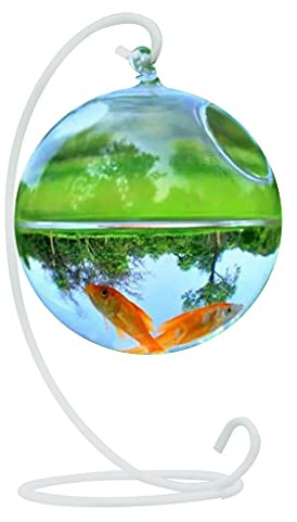 Poisson suspendu de bureau pour aquarium - Vase à fleurs - Boule en verre transparent - Forme ronde - Gain de place - Bols en verre avec support