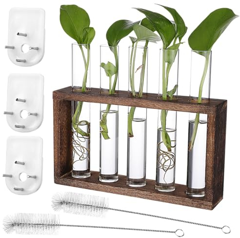 Abaodam Pflanzenvermehrungsstation Wandmontage Holzständer mit Glasröhrchen Propagation Vase für Zimmerpflanzen Desktop Deko Geeignet für Efeu Efeutute Gras und Hydrokultur