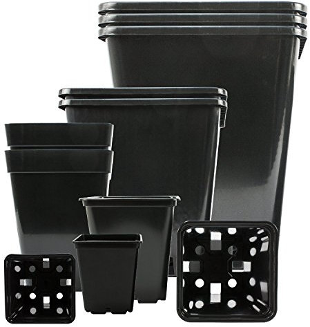 Pot de Fleurs carré Professionnel - Plastique PP de qualité supérieure. Pot pour Les Petites Plantes et Les Jeunes pousses. 50 Topf 33.5x33.5x33.5-cm 25-Liter 50 pièces