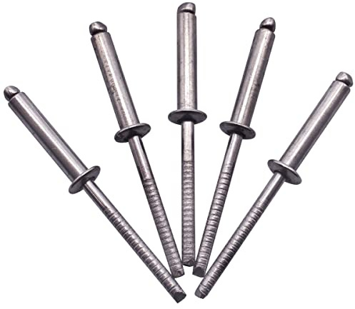 SKIR'CO (200 piezas) Remaches ciegos de acero inoxidable 4,0 x 20 mm, cabeza de cúpula, remaches pop, DIN 7337, remache A2, mandril ranurado