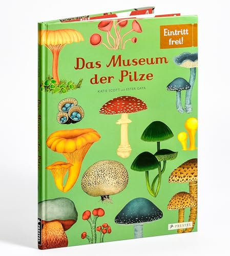 Das Museum der Pilze: Eintritt frei! - Sachbilderbuch im Großformat für Kinder ab 8 Jahren mit faszinierenden Pilz-Illustrationen von Katie Scott (Eintritt frei! Komm mit ins Museum, Band 13)