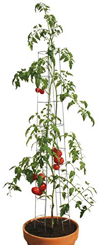 bellissa – Tomaten Rankhilfe aus Stahl einzeln 180cm verzinkt – Tomatenturm Rankgitter für Tomaten, Gurken etc. – Stabile Pflanzenstütze für Garten, Hochbeet & Töpfe – Wetterfest & wiederverwendbar