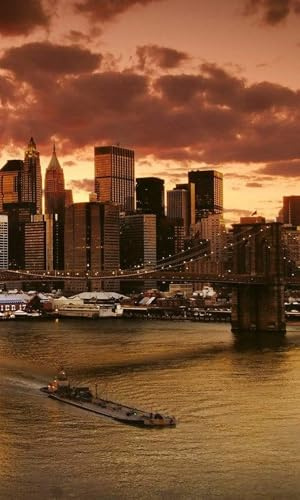 Fotomural NUEVA YORK 150 x 250 cm | Papel Pintado Fotográfico - tejido no tejido | CALIDAD PREMIUM