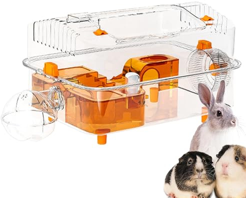 Hamster Med Klar Vattenflaska Och Leksaker