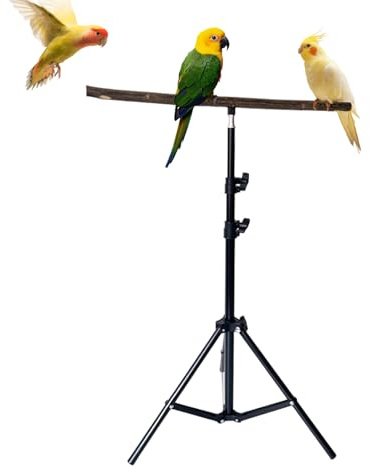 Bird Play Stand – Adjustable Folding Tripod Base Habitat, Bird Training Stand with Stable Design, Activity Function, Ideal for Pet Training Home Indoor Outdoor Porch Yard Garden