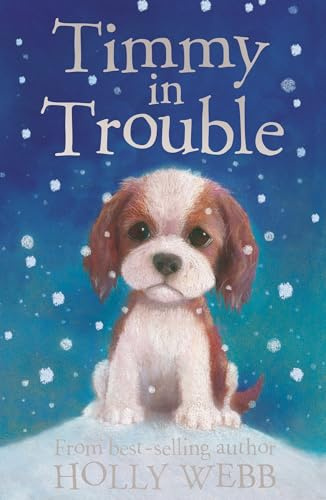 Timmy in Trouble: 7 (Holly Webb Animal Stories, 7)