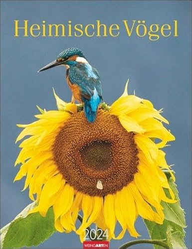 Heimische Vögel Kalender 2024. Wandkalender mit 12 Fotografien heimischer Vogelarten. Tier-Kalender 2024 zum Aufhängen. Foto-Kalender mit Monatsübersicht. 30x39 cm