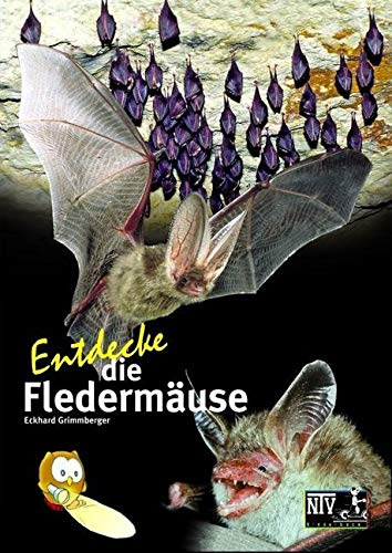 Entdecke die Fledermäuse (Entdecke - Die Reihe mit der Eule: Kindersachbuchreihe)