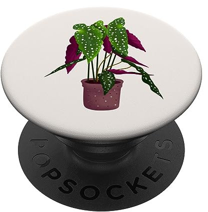 Cute Begonia Maculata houseplant in the pot floral for girl PopSockets Swappable PopGrip