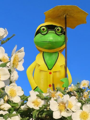 Pommerntraum ® | Zaunhocker Pfostenhocker Zaunfigur Dekorationsfigur Gartendekoration Frosch Frösche Kröten (Frosch mit Schirm)