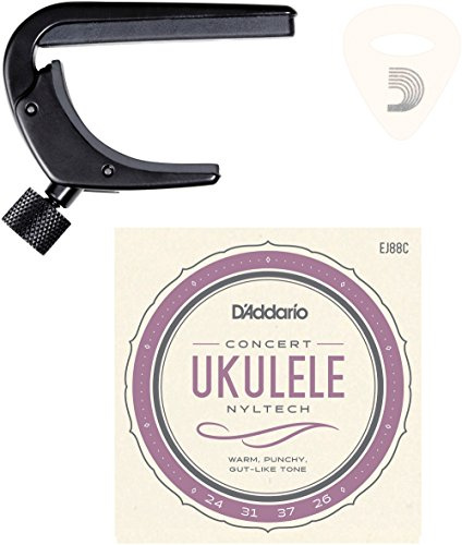 D'Addario Ukulele Essentials Kit