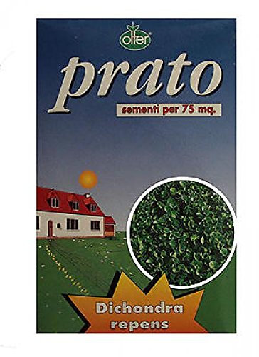 Semi per prato erboso tappeto erboso DICHONDRA REPENS da 500gr dicondra sementi