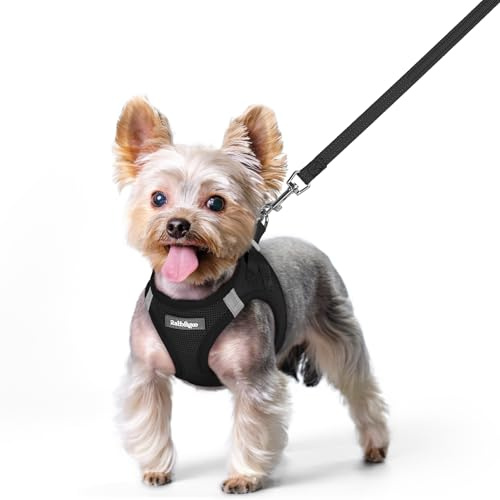 rabbitgoo Harnais Chien Petite Taille avec Laisse Réfléchissant, Harnais Chiot en Maille Souple, Gilet Réglable Facile à Mettre, Arnet pour Chien Petit et Moyen pour Marcher Courir, Noir XS