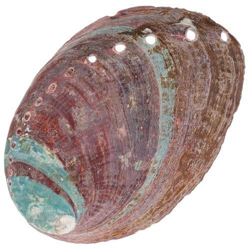 Beavorty Coquille D'ormeau Porte-Coquille Décoratif, Conteneur de Brûlage d'herbe Multi-Usage, pour Aquarium et Bureau, Coquille Naturelle