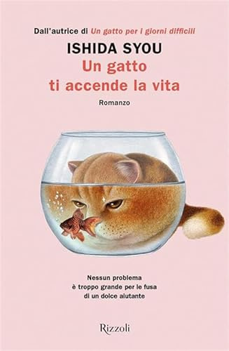 Un gatto ti accende la vita