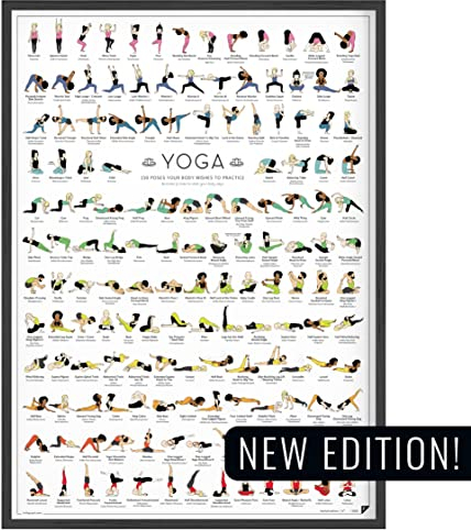 FOLLYGRAPH Yoga Poster NEUE EDITION - 150 Asanas - Yoga Geschenk (A2 (42x60 cm))