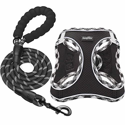 haapaw Set med hundsele och koppel, inget drag, justerbar, reflekterande, step-in-valpsele med förtjockad vadderad väst för extra små/små medelstora hundar