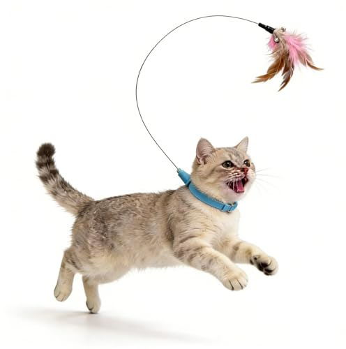 Générique Collier à Grelot pour Chat - Plumeau interactif pour Chaton - Collier à Plumes pour Chat,pour l'intérieur, l'extérieur, Le Parc, la Maison, l'exercice Quotidien, l'entraînement, Le