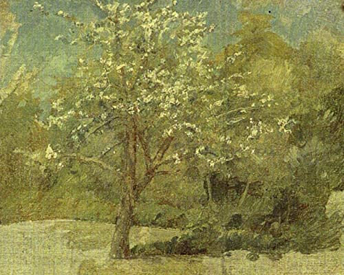 ZIMARO Leinwanddruck Und Poster Wandkunst Bild Reproduktion Apfelbaum von Johan Krouthén für Wohnkultur 60x90cm