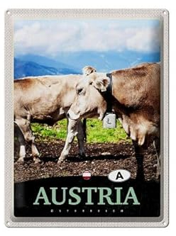 Blechschild 40 x 30 cm Austria Österreich Motiv: Kühe mit Kuhglocken - DekoNo7