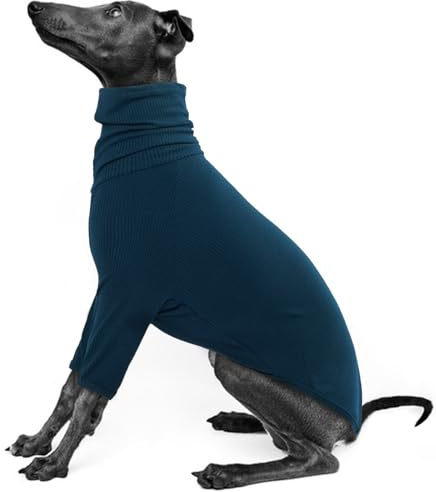 IECOii Maglione levriero, accogliente tuta levriero italiano, pullover per cani di piccola taglia, dolcevita whippet tutina per abiti primaverili e autunnali, t-shirt extra morbida con maniche, XS
