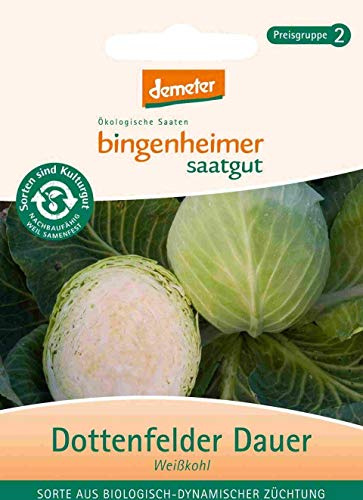 Weißkohl Dottenfelder Dauer