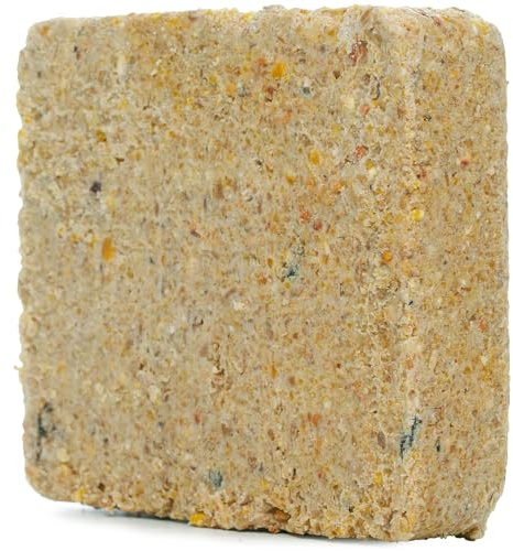 SQUAWK Suet Fat Blocks | Premium Garden Wild Bird Food | Enhanced Formula | Naturally Blended, High in Energy & Protein-Rich Feed | Full of Nutritious Fat Fibre & Moisture (Peanut, 3)