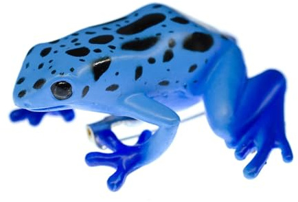 Miniblings Giftfrosch Frosch Gummi Brosche Blau Pfeilgiftfrosch Blauer | Kleines Statement für Revers und Jacke, mit Baumsteiger und Dendrobates