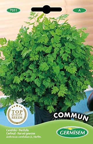Germisem Commum Semi di Cerfoglio 10 g