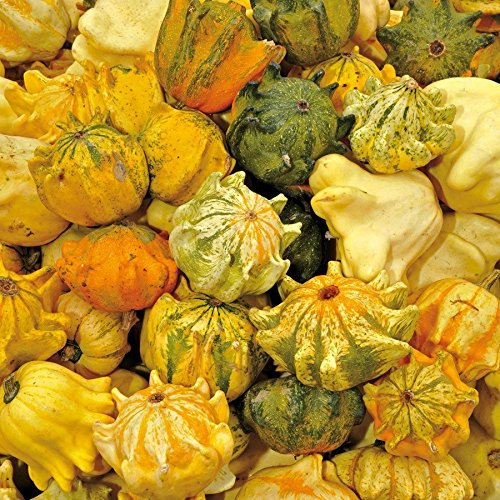 Calabaza ornamental, mezcla de coronas.