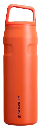 Stanley IceFlow Bouteille d'eau de 710 ml – Couvercle à large goulot torsadé – Légère et étanche – Pour les voyages et le sport – Acier inoxydable isotherme – Sans BPA – Prune tigrée