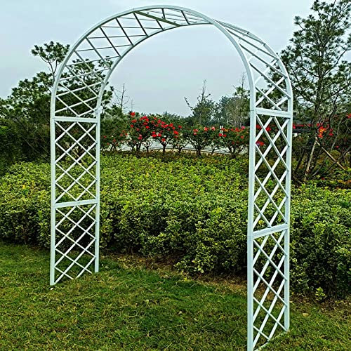 Arche de jardin en acier galvanisé robuste avec cadre de rose autoportant pour plantes grimpantes, roses, décoration de fête de mariage, 2,6 x 2,5 m, blanc