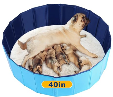 FLKQC Whelping Pen for Dogs, Foldable Birthing Pool for Dogs, Whelping Box for Dogs and Puppies, Poartable Plastic Swimming Pool & Bath Tub for Dogs (Blue) (39.4” Dia. × 11.8” H (100cm × 30cm))