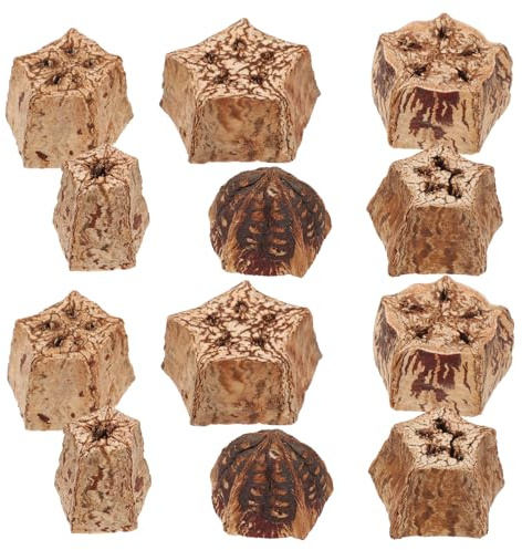 VILLCASE Giocattoli per Pappagalli da Mordere Naturali in Legno di Frutta Secca, Set 12 Pezzi da Masticare per Uccelli, Accessori per Gabbia e Stimolazione Mentale, Adatti a Calopsite