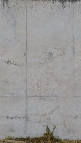 livingwalls Beton-Fototapete – Grau – Wandbild XXL 2,80 x 1,59 m | Urbane Betonoptik als Akzentwand – matte Strukturtapete, ansatzfrei & spurlos abziehbar – für Wohnzimmer & Büro