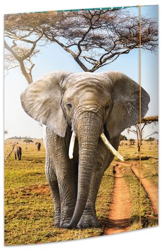 RNK 45377 – Ritmapp elefant 310 x 440 mm, dokumentmapp för DIN A3, med gummistängning, 1 styck