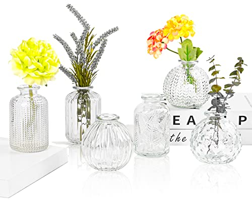 Vasen Klein Glas EylKoi - Vasen Klein Tischdeko 6 Teile/Satz Klar Verschiedene Formen Hochzeit, Mini Kleine Für Tischdeko Kleine Für Zuhause, Veranstaltungen Tisch, 4#