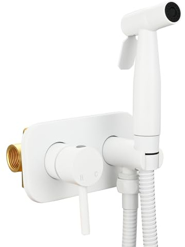 Tecmolog WS024WF1 Douche WC encastrée eau chaude et froide Robinet mitigeur bidet en acier inoxydable avec tuyau, blanc