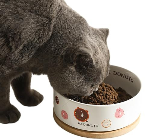 Ciotola dell'acqua riscaldata per esterni, ciotola termica per cani all'aperto – Ciotola termica non conduttiva per esterni | Ciotola per acqua riscaldata sicura per cani, cani e gatti
