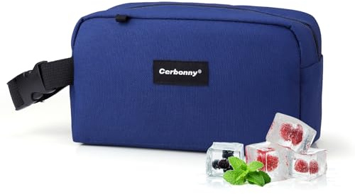 Cerbonny Borsa da Pranzo Piccola Raffreddabile per Lavoro Scuola Viaggio, Borsa da Pranzo Piccola, Borsa Isolante Piccola per Adulti/Bambini, Borse da Pranzo per Congelatore, Mini Borsa da Pranzo