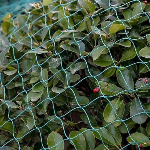 PanHuiWen Netz Feinmaschig Katze Taubennetz Balkon Ohne Bohren Fischernetz Deko 1.5 x1.5cm große Pool Netz für Garten, Balkon oder Teich Kirschbaum,1x10m